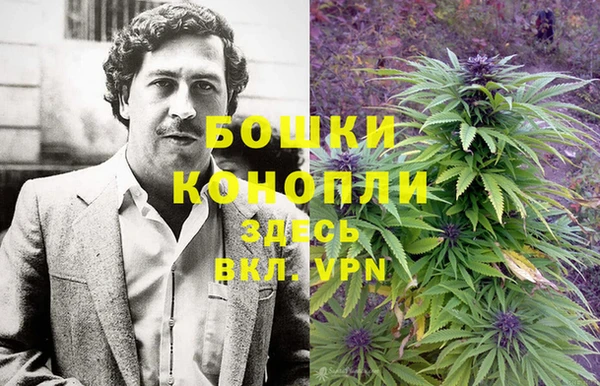 молекула духа Киреевск
