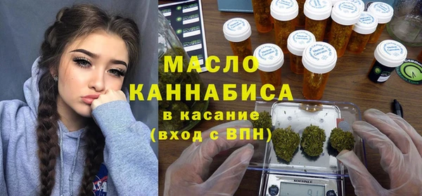 молекула духа Киреевск