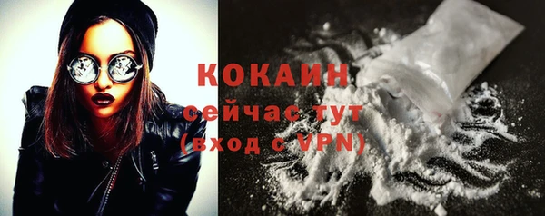 молекула духа Киреевск