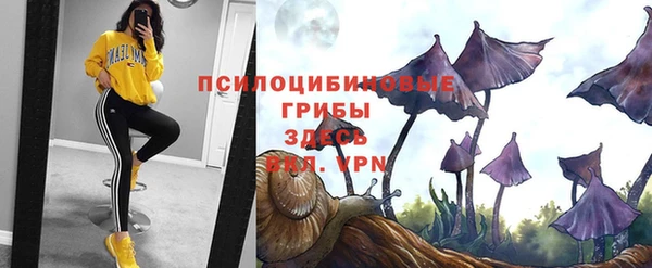 альфа пвп Карпинск