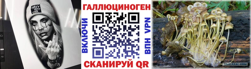Галлюциногенные грибы MAGIC MUSHROOMS Горно-Алтайск